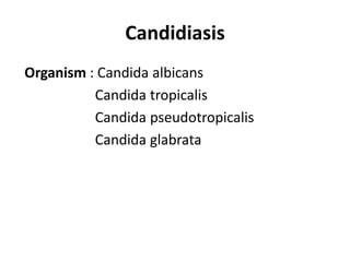 Candidiasis
Organism : Candida albicans
Candida tropicalis
Candida pseudotropicalis
Candida glabrata
 