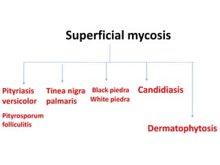 Superficial mycosis
Pityriasis
versicolor
Pityrosporum
folliculitis
Tinea nigra
palmaris
Black piedra
White piedra
Dermatophytosis
Candidiasis
 
