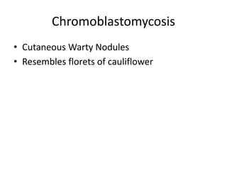 Chromoblastomycosis
• Cutaneous Warty Nodules
• Resembles florets of cauliflower
 