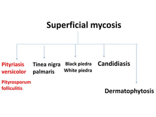 Superficial mycosis
Pityriasis
versicolor
Pityrosporum
folliculitis
Tinea nigra
palmaris
Black piedra
White piedra
Dermatophytosis
Candidiasis
 