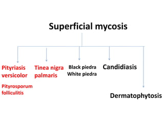 Superficial mycosis
Pityriasis
versicolor
Pityrosporum
folliculitis
Tinea nigra
palmaris
Black piedra
White piedra
Dermatophytosis
Candidiasis
 