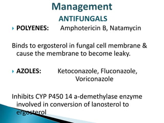ANTIFUNGALS


POLYENES:

Amphotericin B, Natamycin

Binds to ergosterol in fungal cell membrane &
cause the membrane to become leaky.


AZOLES:

Ketoconazole, Fluconazole,
Voriconazole

Inhibits CYP P450 14 a-demethylase enzyme
involved in conversion of lanosterol to
ergosterol

 