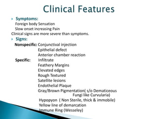 

Symptoms:

Foreign body Sensation
Slow onset increasing Pain
Clinical signs are more severe than symptoms.


Signs:
Nonspecific: Conjunctival injection
Epithelial defect
Anterior chamber reaction
Specific:
Infiltrate
Feathery Margins
Elevated edges
Rough Textured
Satellite lesions
Endothelial Plaque
Gray/Brown Pigmentation( s/o Dematiceous
Fungi like Curvularia)
Hypopyon ( Non Sterile, thick & immobile)
Yellow line of demarcation
Immune Ring (Wesseley)

 
