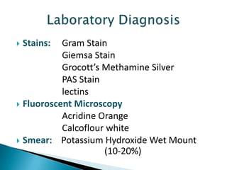 Gram Stain
Giemsa Stain
Grocott’s Methamine Silver
PAS Stain
lectins
 Fluoroscent Microscopy
Acridine Orange
Calcoflour white
 Smear: Potassium Hydroxide Wet Mount
(10-20%)


Stains:

 
