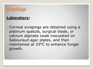 Workup
Laboratory:
 Corneal scrapings are obtained using a
platinum spatula, surgical blade, or
calcium alginate swab inoculated on
Sabouraud agar plates, and then
maintained at 25°C to enhance fungal
growth.
 