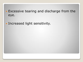  Excessive tearing and discharge from the
eye.
 Increased light sensitivity.
 