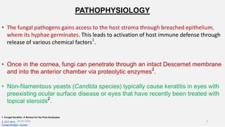 PATHOPHYSIOLOGY
• The fungal pathogens gains access to the host stroma through breached epithelium,
where its hyphae germinates. This leads to activation of host immune defense through
release of various chemical factors1
.
• Once in the cornea, fungi can penetrate through an intact Descemet membrane
and into the anterior chamber via proteolytic enzymes2
.
• Non-filamentous yeasts (Candida species) typically cause keratitis in eyes with
preexisting ocular surface disease or eyes that have recently been treated with
topical steroids2
.
1. Fungal Keratitis: A Review for the Post-Graduates
2. OCT 2014
Fungal Keratitis - Europe
26-06-2020 4
 