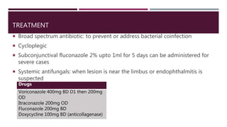 TREATMENT
 Broad spectrum antibiotic: to prevent or address bacterial coinfection
 Cycloplegic
 Subconjunctival fluconazole 2% upto 1ml for 5 days can be administered for
severe cases
 Systemic antifungals: when lesion is near the limbus or endophthalmitis is
suspected
Drugs
Voriconazole 400mg BD D1 then 200mg
OD
Itraconazole 200mg OD
Fluconazole 200mg BD
Doxycycline 100mg BD (anticollagenase)
 