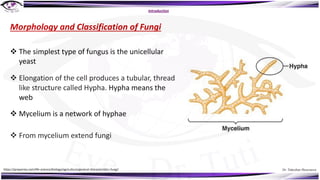 Dr. Tukezban Huseynova
Introduction
Morphology and Classification of Fungi
v Elongation of the cell produces a tubular, thread
like structure called Hypha. Hypha means the
web
v The simplest type of fungus is the unicellular
yeast
v Mycelium is a network of hyphae
v From mycelium extend fungi
https://preparmy.com/life-science/biology/agriculture/general-characteristics-fungi/
 