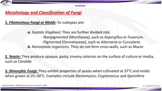 Dr. Tukezban Huseynova
Introduction
Morphology and Classification of Fungi
1. Filamentous Fungi or Molds: Its subtypes are:
a. Septate (Hyphae): They are further divided into:
- Nonpigmented (Moniliacea), such as Aspergillus or Fusarium.
- Pigmented (Dematiaceae), such as Alternaria or Curvularia.
b. Nonseptate organisms: They do not form cross-walls, such as Mucor
2. Yeasts: They produce opaque, pasty, creamy colonies on the surface of culture or media,
such as Candida
3. Dimorphic Fungi: They exhibit properties of yeasts when cultivated at 37°C and molds
when grown at 25–30°C. Examples include Blastomyces, Cryptococcus and Sporothrix
„Mycotic Keratitis“, Mahendra Rai, Marcelo Luis Occhiutto (2019)
 