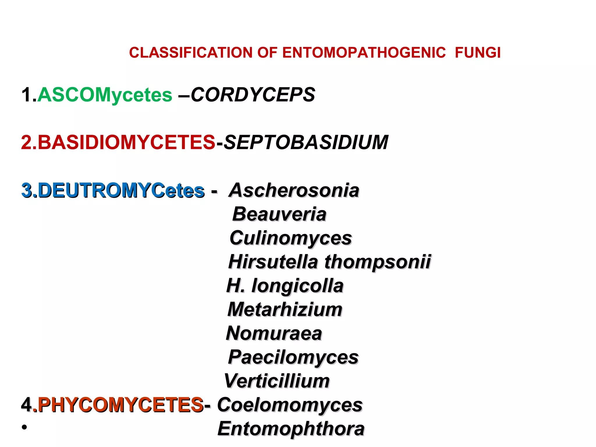 CLASSIFICATION OF ENTOMOPATHOGENIC FUNGI 
1.ASCOMycetes –CORDYCEPS 
2.BASIDIOMYCETES-SEPTOBASIDIUM 
33..DDEEUUTTRROOMMYYCCeetteess -- AAsscchheerroossoonniiaa 
BBeeaauuvveerriiaa 
CCuulliinnoommyycceess 
HHiirrssuutteellllaa tthhoommppssoonniiii 
HH.. lloonnggiiccoollllaa 
MMeettaarrhhiizziiuumm 
NNoommuurraaeeaa 
PPaaeecciilloommyycceess 
VVeerrttiicciilllliiuumm 
44..PPHHYYCCOOMMYYCCEETTEESS-- CCooeelloommoommyycceess 
• EEnnttoommoopphhtthhoorraa 
 