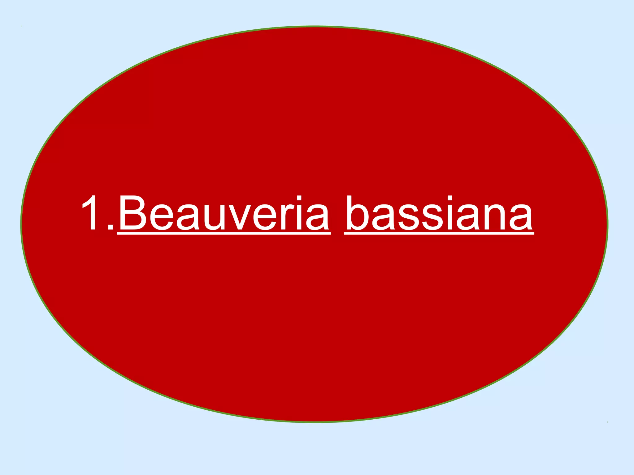 1.Beauveria bassiana 
 