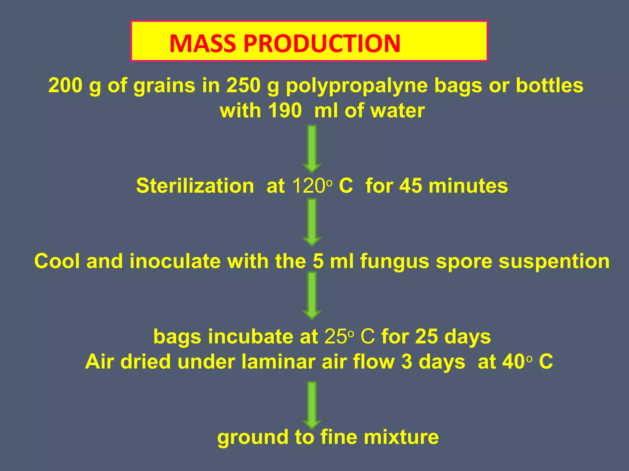 MASS PRODUCTION 
200 g of grains in 250 g polypropalyne bags or bottles 
with 190 ml of water 
Sterilization at 120o C for 45 minutes 
Cool and inoculate with the 5 ml fungus spore suspention 
bags incubate at 25o C for 25 days 
Air dried under laminar air flow 3 days at 40o C 
ground to fine mixture 
 