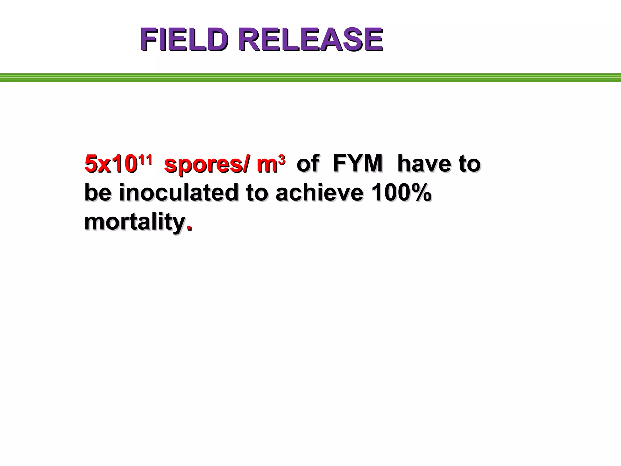 FFIIEELLDD RREELLEEAASSEE 
55xx11001111 ssppoorreess// mm33 ooff FFYYMM hhaavvee ttoo 
bbee iinnooccuullaatteedd ttoo aacchhiieevvee 110000%% 
mmoorrttaalliittyy.. 
 