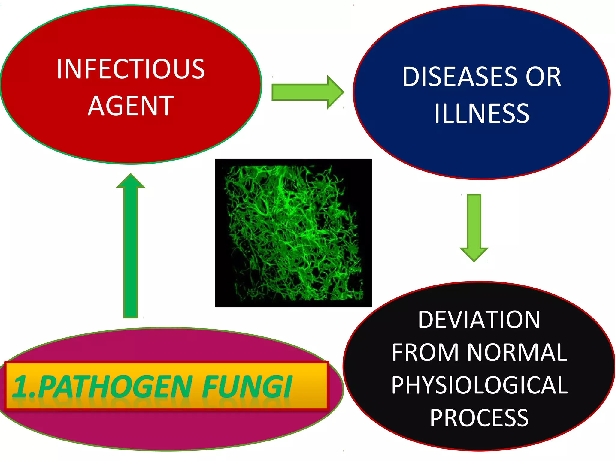 INFECTIOUS 
AGENT 
DISEASES OR 
ILLNESS 
DEVIATION 
FROM NORMAL 
PHYSIOLOGICAL 
PROCESS 
 