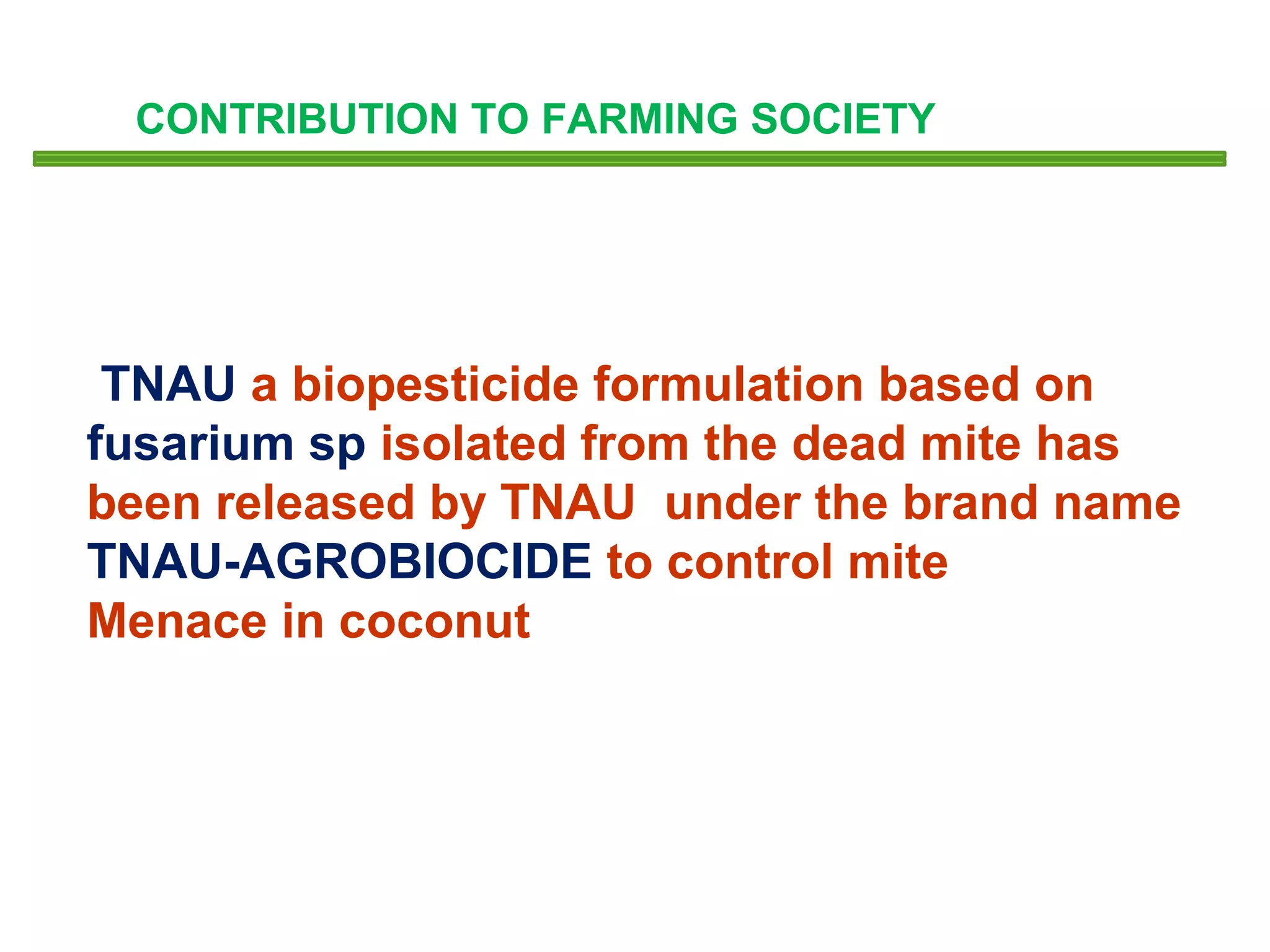 CONTRIBUTION TO FARMING SOCIETY 
TNAU a biopesticide formulation based on 
fusarium sp isolated from the dead mite has 
been released by TNAU under the brand name 
TNAU-AGROBIOCIDE to control mite 
Menace in coconut 
 