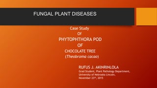 FUNGAL PLANT DISEASES
Case Study
Of
PHYTOPHTHORA POD
OF
CHOCOLATE TREE
(Theobroma cacao)
RUFUS J. AKINRINLOLA
Grad Student, Plant Pathology Department,
University of Nebraska Lincoln,
November 23rd, 2015
 