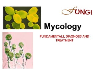 Mycology
Mycology
FUNDAMENTALS, DIAGNOSIS AND
TREATMENT
 