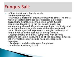  Older individuals, female>male
Immunocompetent
May have a history of trauma or injury to sinus.The most
widely accepted pathogenesis theorizes a deficient
mucociliary clearance mechanism in which fungal
organisms deposited in the par nasal sinuses are
inadequately cleared. Organisms germinate, replicate, and
incite an inflammatory response within the paranasal
sinus. The fungus ball represents a tangled collection of
fungal hyphae in the absence of allergic mucin.
Asymptomatic or minimal symptoms with chronic
pressure sensation involving one of the paranasal sinuses.
Other symptoms may include nasal discharge and
cacosmia
fumigatus and dematiaceous fungi most
commonly cause fungal ball
 