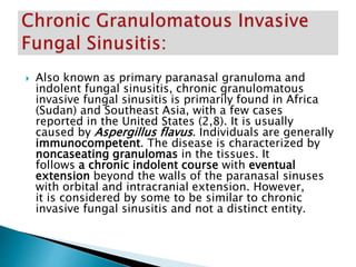  Also known as primary paranasal granuloma and
indolent fungal sinusitis, chronic granulomatous
invasive fungal sinusitis is primarily found in Africa
(Sudan) and Southeast Asia, with a few cases
reported in the United States (2,8). It is usually
caused by Aspergillus flavus. Individuals are generally
immunocompetent. The disease is characterized by
noncaseating granulomas in the tissues. It
follows a chronic indolent course with eventual
extension beyond the walls of the paranasal sinuses
with orbital and intracranial extension. However,
it is considered by some to be similar to chronic
invasive fungal sinusitis and not a distinct entity.
 
