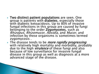  Two distinct patient populations are seen. One
group is patients with diabetes, especially those
with diabetic ketoacidosis. Up to 80% of invasive
fungal infections in this group are caused by fungi
belonging to the order Zygomycetes, such as
Rhizopus, Rhizomucor, Absidia, and Mucor, and
infection by these organisms is sometimes termed
zygomycosis .
 The disease tends to be more rapidly progressing
with relatively high mortality and morbidity, probably
due to the high virulence of these fungi and also
because of low surveillance for invasive fungal
disease in this group as well as diagnosis at a more
advanced stage of the disease.
 