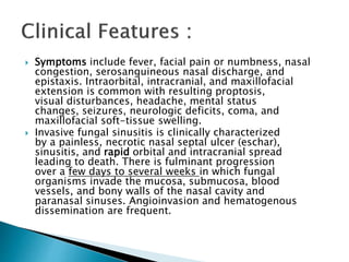  Symptoms include fever, facial pain or numbness, nasal
congestion, serosanguineous nasal discharge, and
epistaxis. Intraorbital, intracranial, and maxillofacial
extension is common with resulting proptosis,
visual disturbances, headache, mental status
changes, seizures, neurologic deficits, coma, and
maxillofacial soft-tissue swelling.
 Invasive fungal sinusitis is clinically characterized
by a painless, necrotic nasal septal ulcer (eschar),
sinusitis, and rapid orbital and intracranial spread
leading to death. There is fulminant progression
over a few days to several weeks in which fungal
organisms invade the mucosa, submucosa, blood
vessels, and bony walls of the nasal cavity and
paranasal sinuses. Angioinvasion and hematogenous
dissemination are frequent.
 