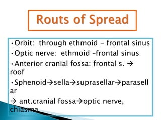 •Orbit: through ethmoid - frontal sinus
•Optic nerve: ethmoid –frontal sinus
•Anterior cranial fossa: frontal s. 
roof
•Sphenoidsellasuprasellarparasell
ar
 ant.cranial fossaoptic nerve,
chiasma
 