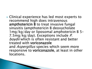 Clinical experience has led most experts to
recommend high does intravenous
ampthotericin B to treat invasive fungal
sinusitis (ampthotericin B deoxycholate
1mg/kg/day or liposomal amphotericin B 5–
7.5mg/kg/day). Exceptions include P.
boydii which is often resistant and better
treated with voriconazole
and Aspergillus species which seem more
responsive to voriconazole, at least in other
locations.
 