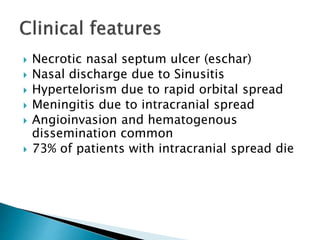  Necrotic nasal septum ulcer (eschar)
 Nasal discharge due to Sinusitis
 Hypertelorism due to rapid orbital spread
 Meningitis due to intracranial spread
 Angioinvasion and hematogenous
dissemination common
 73% of patients with intracranial spread die
 