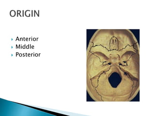  Anterior
 Middle
 Posterior
 