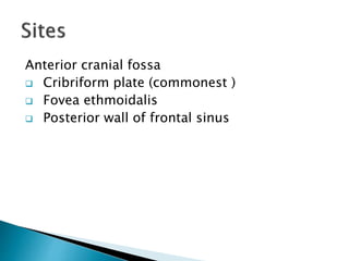 Anterior cranial fossa
 Cribriform plate (commonest )
 Fovea ethmoidalis
 Posterior wall of frontal sinus
 