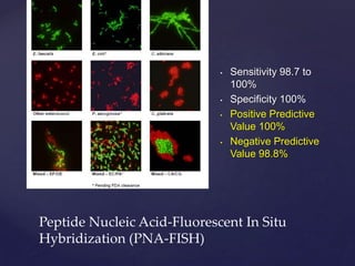 Pna Fish Fungal sepsis,final,nnf kerala,kims,2019 - Dr Karthik Nagesh | PPT