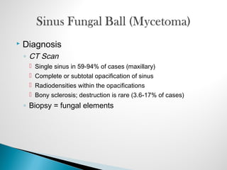  Diagnosis
◦ CT Scan
 Single sinus in 59-94% of cases (maxillary)
 Complete or subtotal opacification of sinus
 Radiodensities within the opacifications
 Bony sclerosis; destruction is rare (3.6-17% of cases)
◦ Biopsy = fungal elements
 