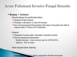 Biopsy + Culture
○ Should always be performed when:
Suspect fungal disease
Change in sensation or color of mucosa
Any immunocompromised patient with signs of sinusitis who fails to
improve after 72 hours of IV antibiotics
○ Where?
Diseased mucosa (pale, insensate, ulcerative, black)
Normal appearance/sensation
- Middle turbinate – most common spot for AFIFS (67%)
- Septum – 24% of cases
○ Must request silver staining
○ Culture
Very difficult to get (+) result, especially with Mucormycosis
 