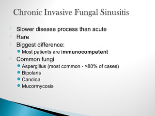  Slower disease process than acute
 Rare
 Biggest difference:
Most patients are immunocompetent
 Common fungi
Aspergillus (most common - >80% of cases)
Bipolaris
Candida
Mucormycosis
 