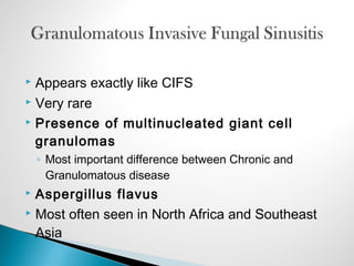  Appears exactly like CIFS
 Very rare
 Presence of multinucleated giant cell
granulomas
◦ Most important difference between Chronic and
Granulomatous disease
 Aspergillus flavus
 Most often seen in North Africa and Southeast
Asia
 