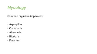 Mycology
Common organism implicated:
• Aspergillus
• Curvularia
• Alternaria
• Bipolaris
• Fusarium
 