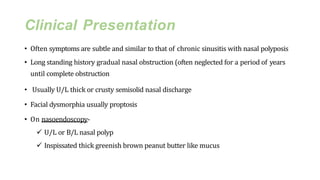 Clinical Presentation
• Often symptoms are subtle and similar to that of chronic sinusitis with nasal polyposis
• Long standing history gradual nasal obstruction (often neglected for a period of years
until complete obstruction
• Usually U/L thick or crusty semisolid nasal discharge
• Facial dysmorphia usually proptosis
• On nasoendoscopy-
 U/L or B/L nasal polyp
 Inspissated thick greenish brown peanut butter like mucus
 