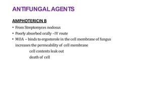 ANTIFUNGALAGENTS
AMPHOTERICIN B
• From Streptomyces nodosus
• Poorly absorbed orally –IV route
• MOA – binds toergosterole in the cell membrane of fungus
increases the permeability of cell membrane
cell contents leak out
death of cell
 