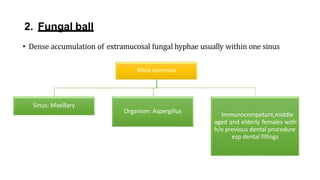 2. Fungal ball
• Dense accumulation of extramucosal fungal hyphae usually within one sinus
Most common
Sinus: Maxillary
Organism: Aspergillus
Immunocompetant,middle
aged and elderly females with
h/o previous dental procedure
esp dental fillings
 