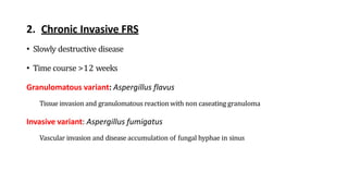 2. Chronic Invasive FRS
• Slowly destructive disease
• Time course >12 weeks
Granulomatous variant: Aspergillus flavus
Tissue invasion and granulomatous reaction with non caseating granuloma
Invasive variant: Aspergillus fumigatus
Vascular invasion and disease accumulation of fungal hyphae in sinus
 