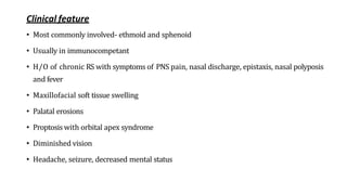 Clinical feature
• Most commonly involved- ethmoid and sphenoid
• Usually in immunocompetant
• H/O of chronic RS with symptoms of PNS pain, nasal discharge, epistaxis, nasal polyposis
and fever
• Maxillofacial soft tissue swelling
• Palatal erosions
• Proptosis with orbital apex syndrome
• Diminished vision
• Headache, seizure, decreased mental status
 