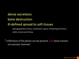 dense secretions
bone destruction
ill-defined spread to soft tissues
pterygopalatine fossa, masticator space, infratemporal fossa
orbit, intracranial fossa
! infiltration of fat planes can be present w/o bone erosion
via vascular channels
Maria Cucos MD
 