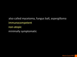 also called mycetoma, fungus ball, aspergilloma
immunocompetent
non-atopic
minimally symptomatic
Maria Cucos MD
 
