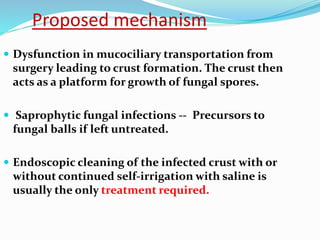 Proposed mechanism
 Dysfunction in mucociliary transportation from
surgery leading to crust formation. The crust then
acts as a platform for growth of fungal spores.
 Saprophytic fungal infections -- Precursors to
fungal balls if left untreated.
 Endoscopic cleaning of the infected crust with or
without continued self-irrigation with saline is
usually the only treatment required.
 