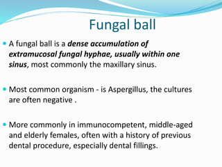 Fungal ball
 A fungal ball is a dense accumulation of
extramucosal fungal hyphae, usually within one
sinus, most commonly the maxillary sinus.
 Most common organism - is Aspergillus, the cultures
are often negative .
 More commonly in immunocompetent, middle-aged
and elderly females, often with a history of previous
dental procedure, especially dental fillings.
 