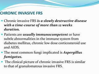 CHRONIC INVASIVE FRS
 Chronic invasive FRS is a slowly destructive disease
with a time-course of more than 12 weeks
duration.
 Patients are usually immunocompetent or have
subtle abnormalities in the immune system from
diabetes mellitus, chronic low dose corticosteroid use
and AIDS.
 The most common fungi implicated is Aspergillus
fumigatus.
 The clinical picture of chronic invasive FRS is similar
to that of granulomatous invasive FRS.
 