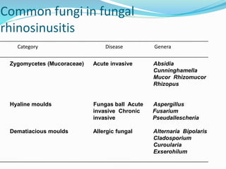 Common fungi in fungal
rhinosinusitis
Category Disease Genera
Zygomycetes (Mucoraceae) Acute invasive Absidia
Cunninghamella
Mucor Rhizomucor
Rhizopus
Hyaline moulds Fungas ball Acute
invasive Chronic
invasive
Aspergillus
Fusarium
Pseudallescheria
Dematiacious moulds Allergic fungal Alternaria Bipolaris
Cladosporium
Curoularia
Exserohilum
 