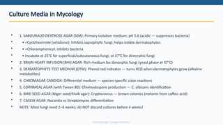 Comprehensive Overview of Fungal Infections Affecting Skin, Soft Tissue ...