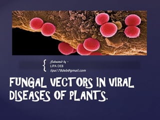 {
Submitted by –
LIPA DEB
lipa178deb@gmail.com
FUNGAL VECTORS IN VIRAL
DISEASES OF PLANTS.
 